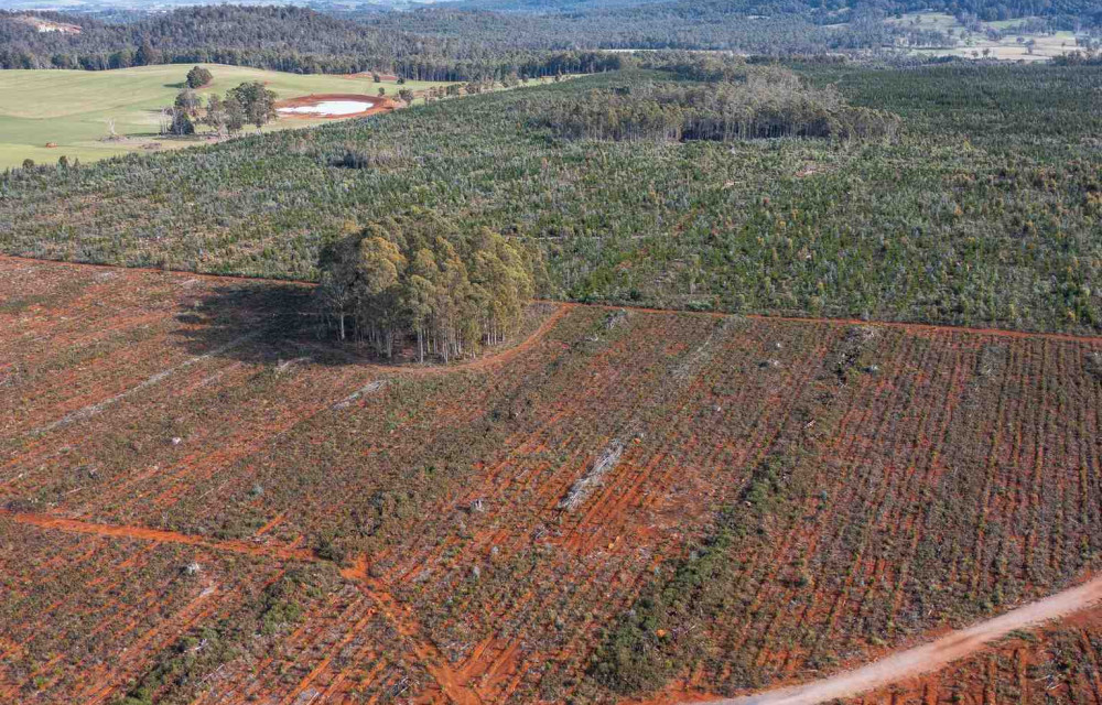 First hurdle cleared for proposed Tasmanian bauxite project, with conditional approval and a number of required detailsarticle image