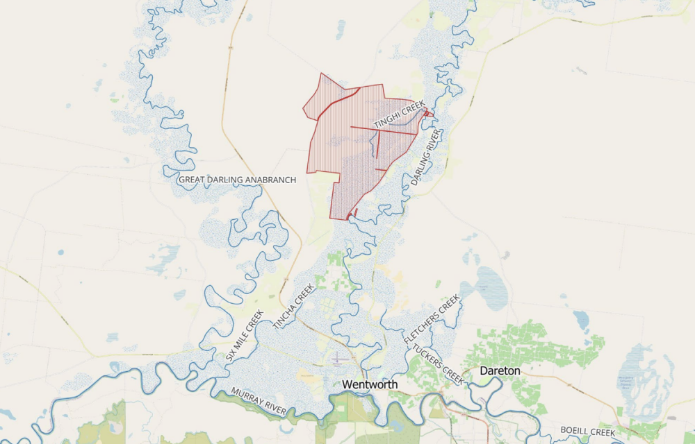 Aerial view of the Junction Vineyards property north of Wentworth in southwest New South Wales showing cleared and retained woodland areas along the Darling River for the proposed 1,263-hectare irrigation expansion.