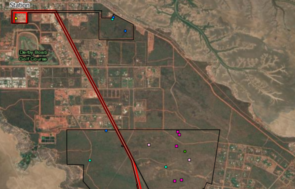 New energy project proposed in Kimberley region advances through key approval step; head contractor to be appointed for generation and storage facilityarticle image