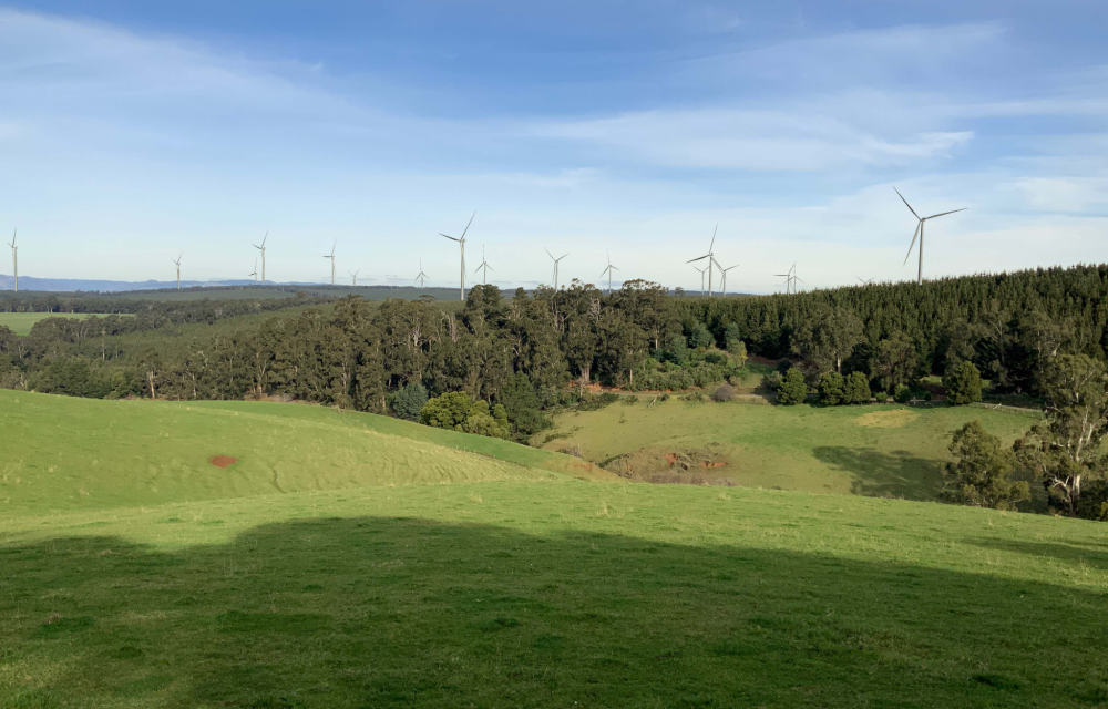 Projectory understands that the SEC will now progress development alongside the original proponent, Osmi Australia.